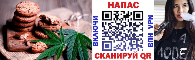 дарнет шоп  Усть-Джегута  Canna-Cookies конопля 