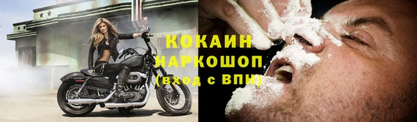 шишки Балабаново