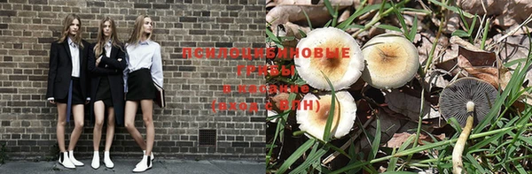 шишки Балабаново
