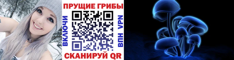Псилоцибиновые грибы GOLDEN TEACHER  Усть-Джегута 
